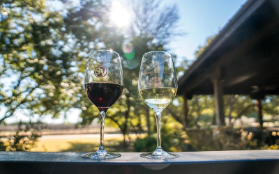 LOOKING TO VISIT WINERIES NEAR AUSTIN?