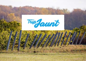 Texas Hill Country Sustainable Vineyards