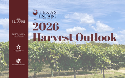 Texas Fine Wine 2026 Harvest Outlook